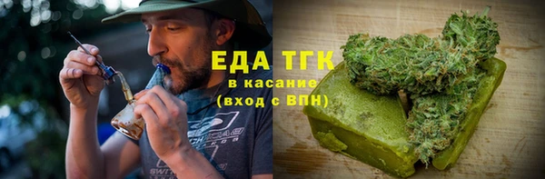 индика Аркадак