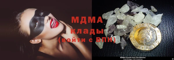 индика Аркадак