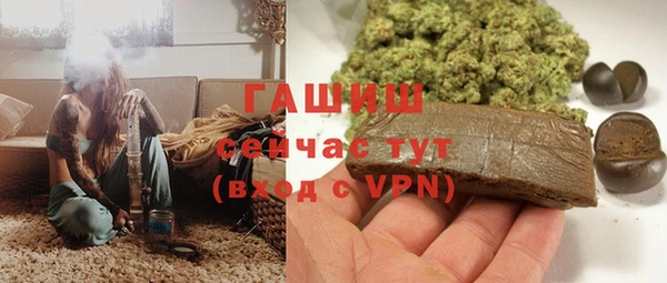 индика Аркадак