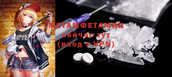 индика Аркадак